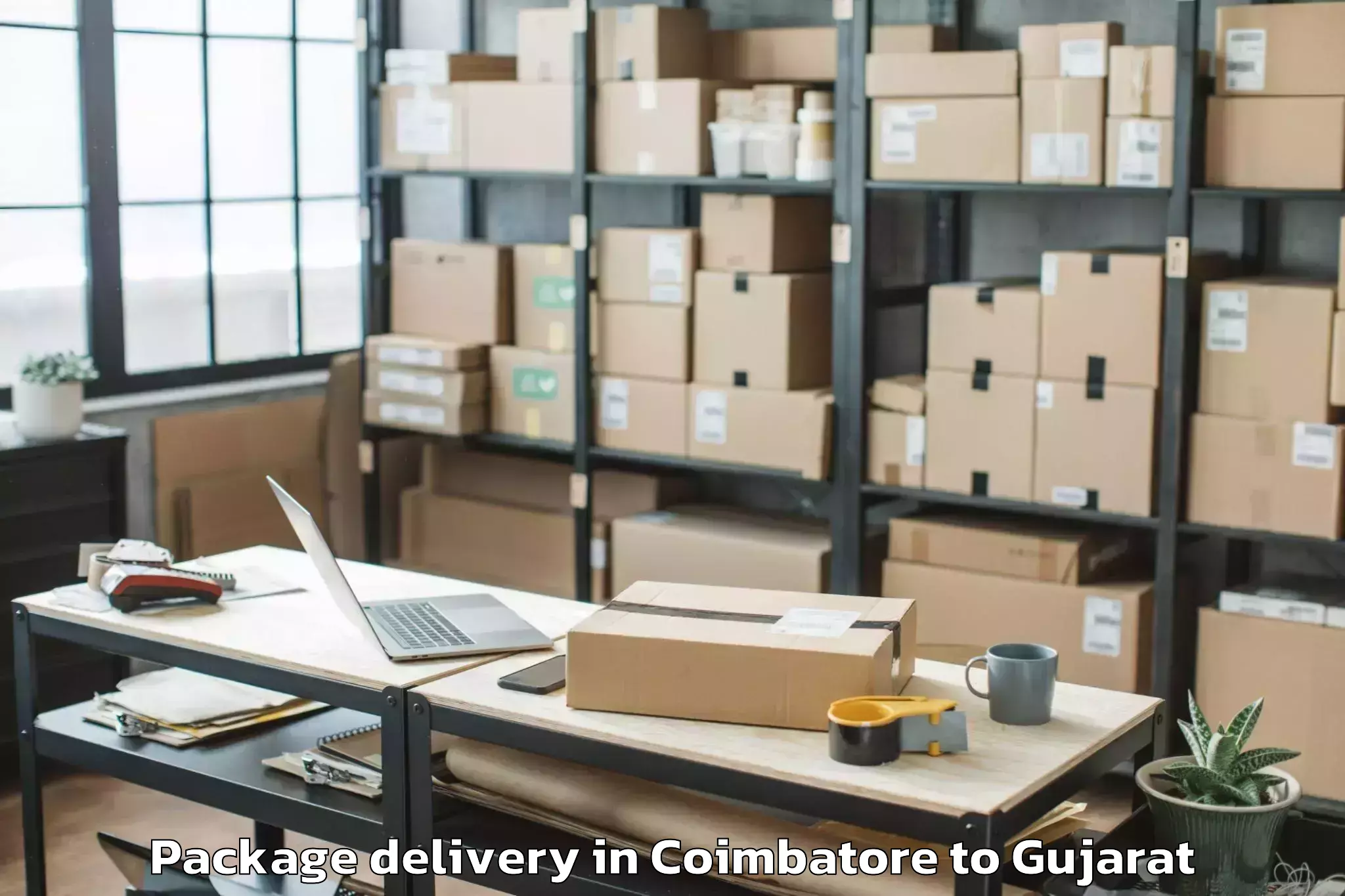 Quality Coimbatore to Delvada Package Delivery